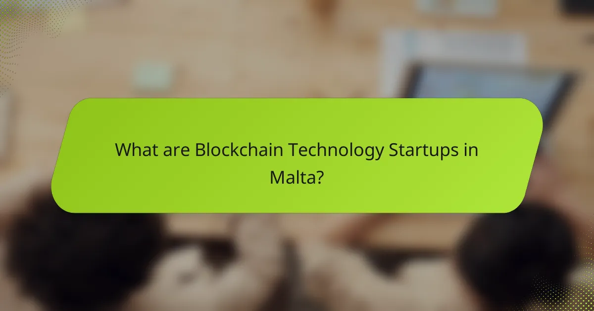 What are Blockchain Technology Startups in Malta?