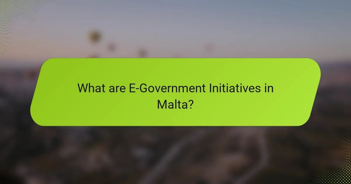 What are E-Government Initiatives in Malta?