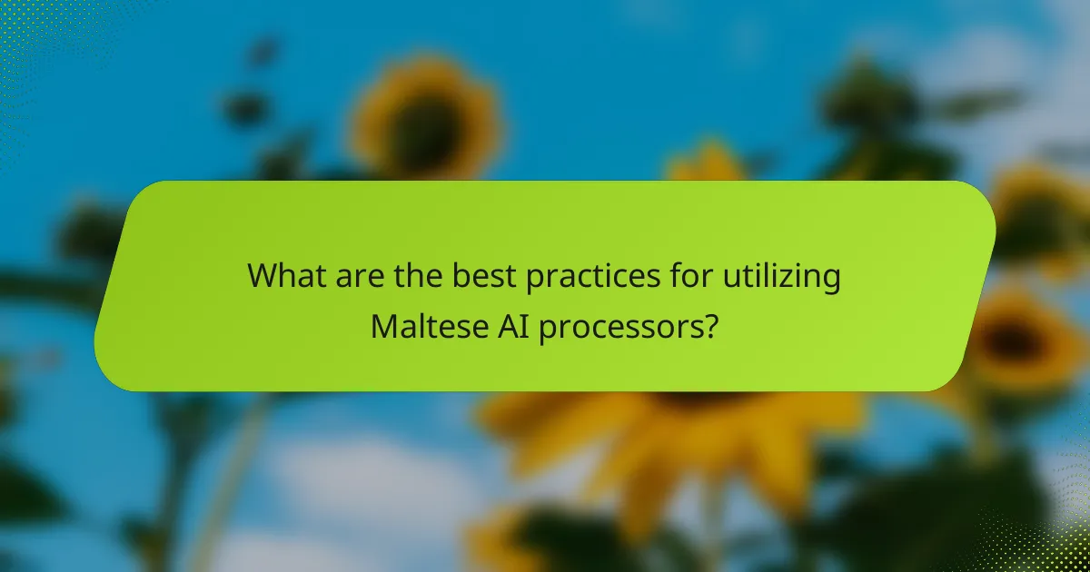 What are the best practices for utilizing Maltese AI processors?