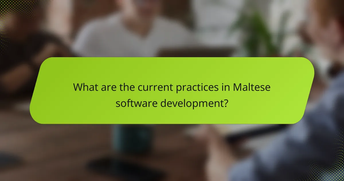 What are the current practices in Maltese software development?