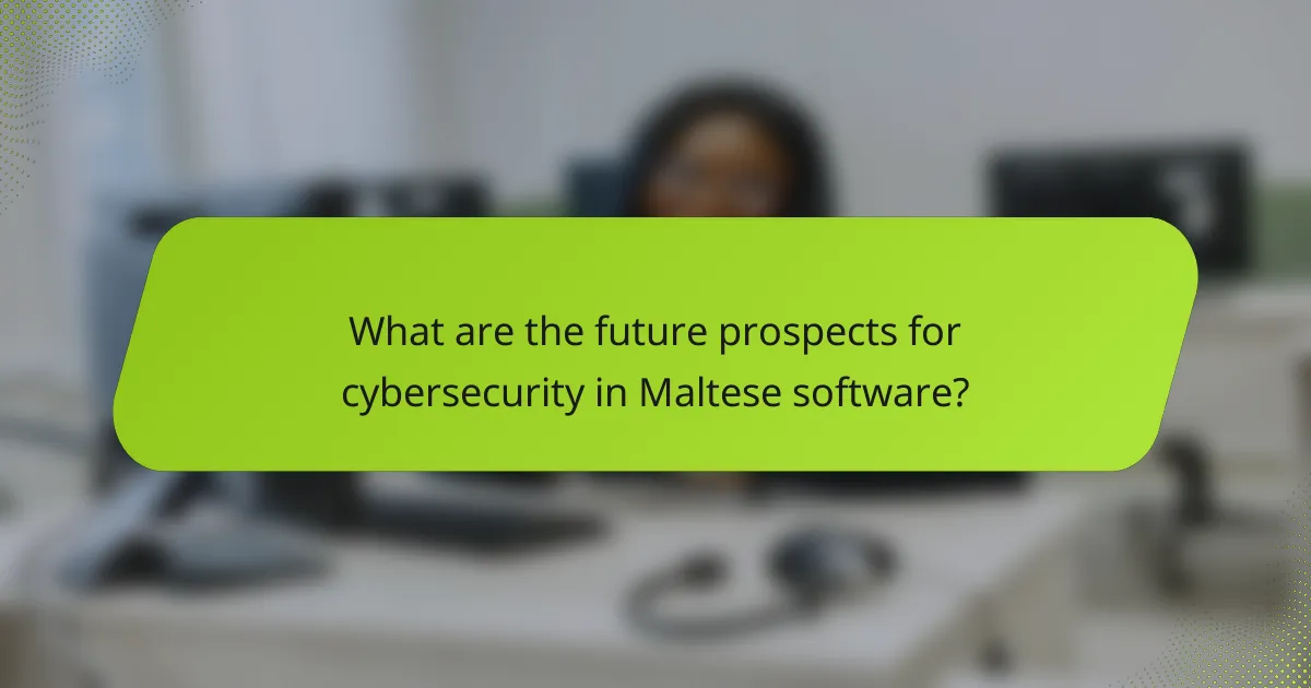 What are the future prospects for cybersecurity in Maltese software?