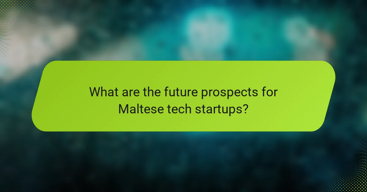 What are the future prospects for Maltese tech startups?