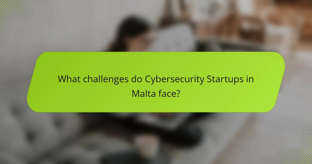 What challenges do Cybersecurity Startups in Malta face?