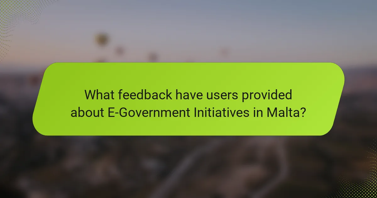 What feedback have users provided about E-Government Initiatives in Malta?