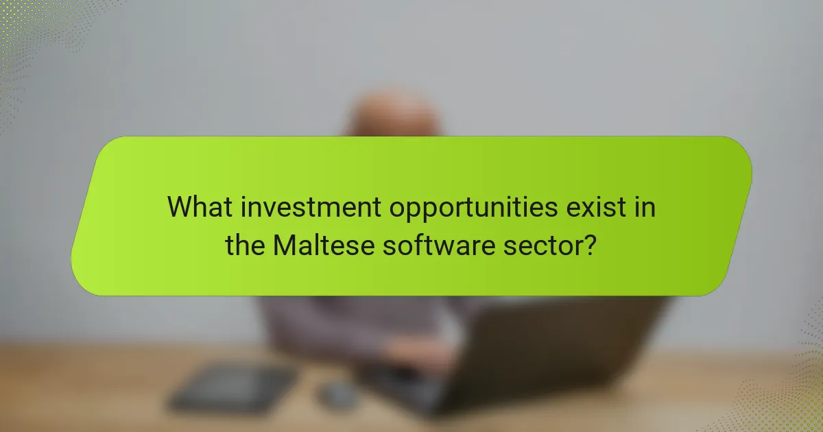 What investment opportunities exist in the Maltese software sector?