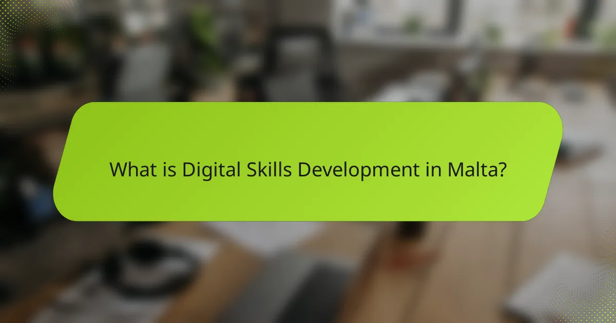 What is Digital Skills Development in Malta?