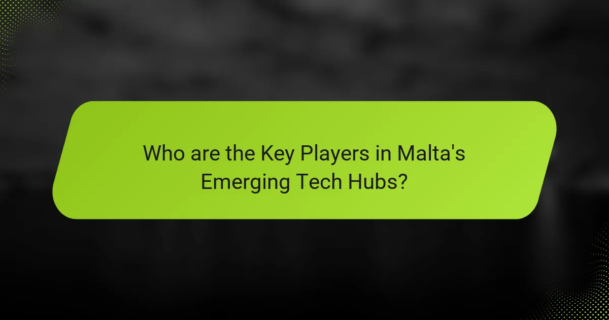 Who are the Key Players in Malta's Emerging Tech Hubs?