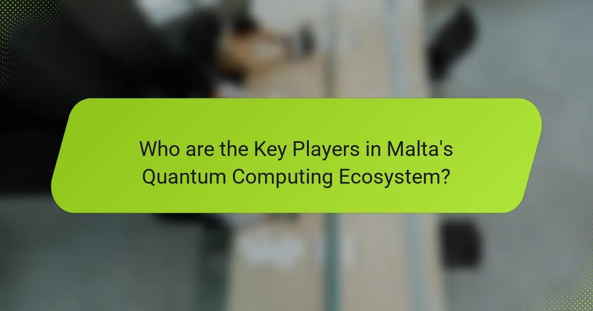 Who are the Key Players in Malta's Quantum Computing Ecosystem?