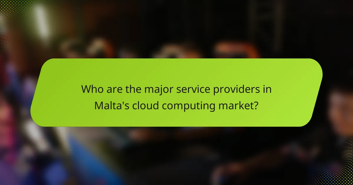 Who are the major service providers in Malta's cloud computing market?